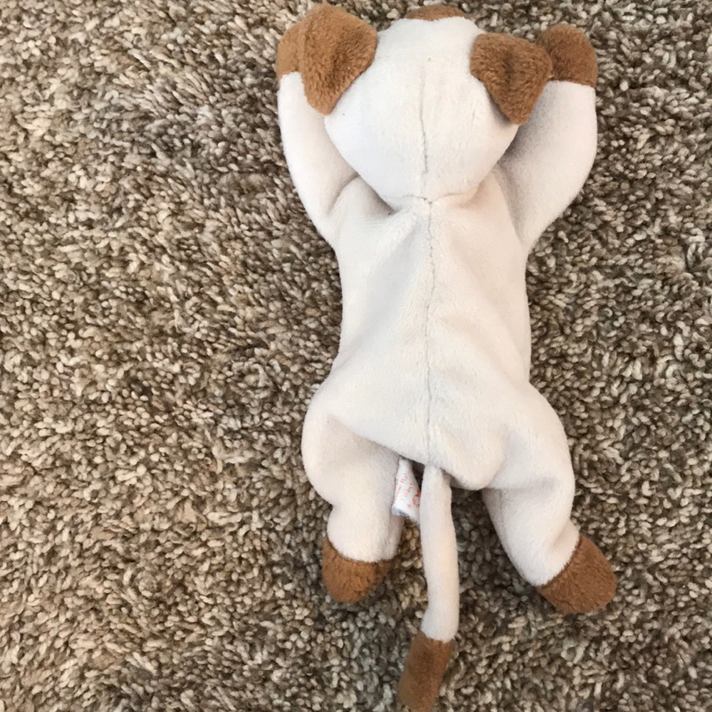 Pair of Kitten plushies